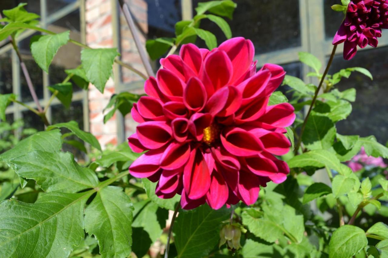 גרבה אין קיאנטי Agriturismo Fattoria Santo Stefano מראה חיצוני תמונה