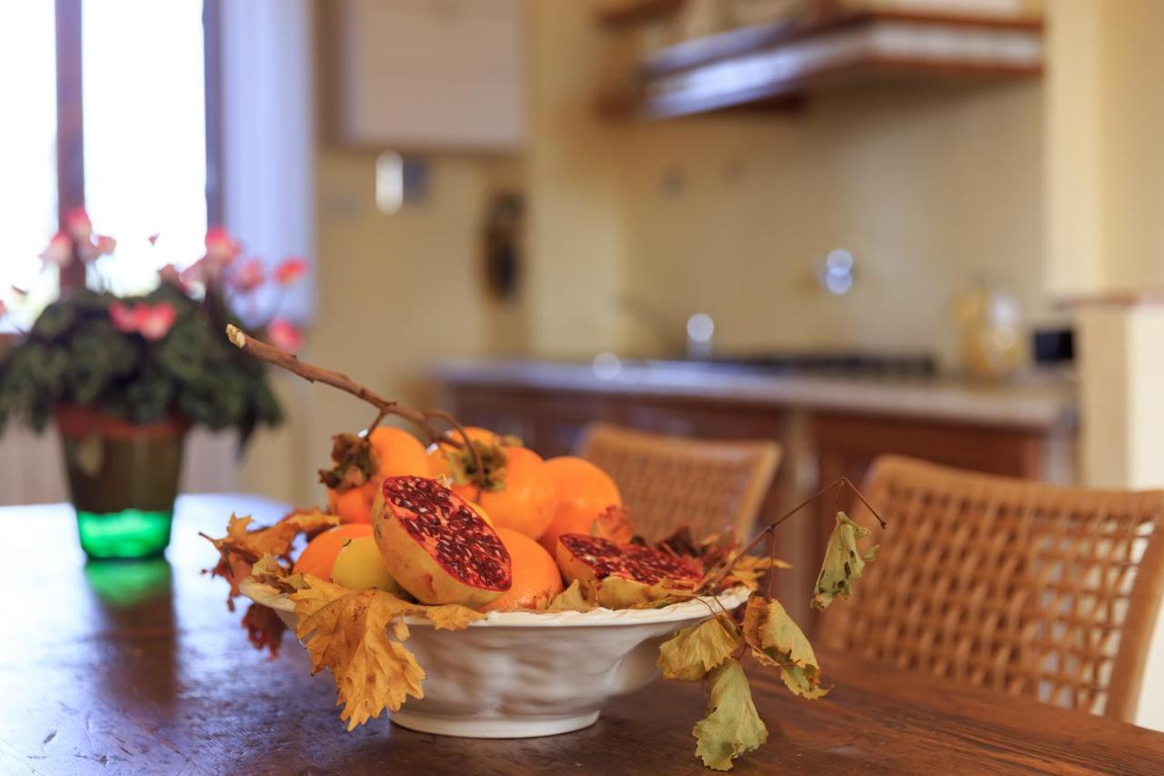 גרבה אין קיאנטי Agriturismo Fattoria Santo Stefano מראה חיצוני תמונה